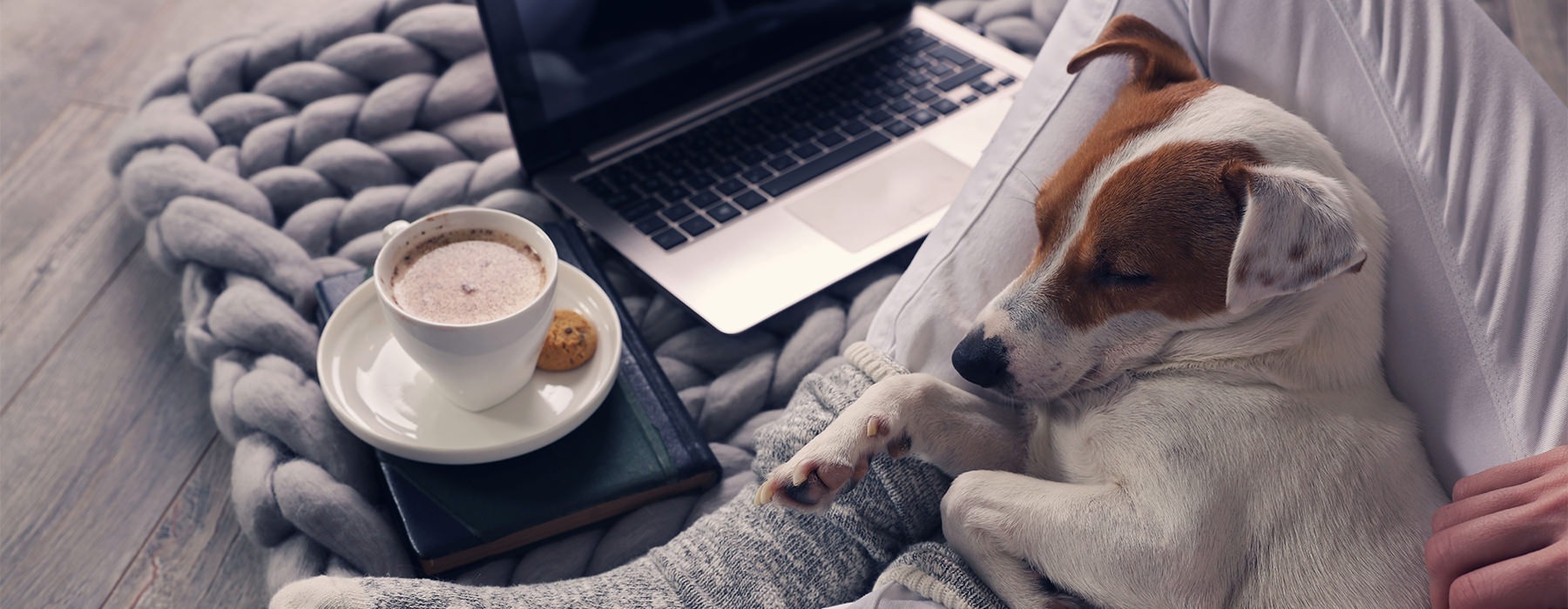 Dog cuddling with owner next to coffee and laptop